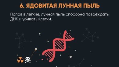 Photo of Интересные факты о Луне