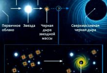 Photo of Образование черных дыр в звездах
