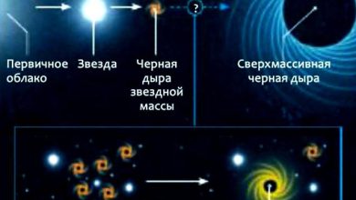 Photo of Образование черных дыр в звездах